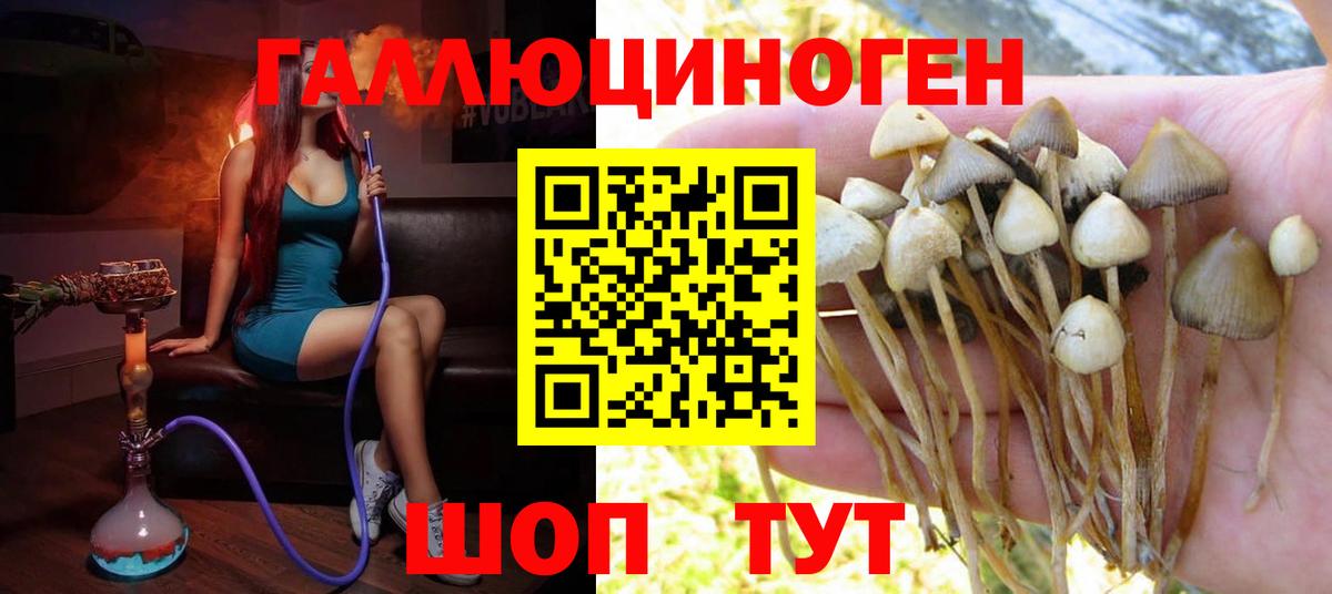 Галлюциногенные грибы мухоморы Зеленокумск